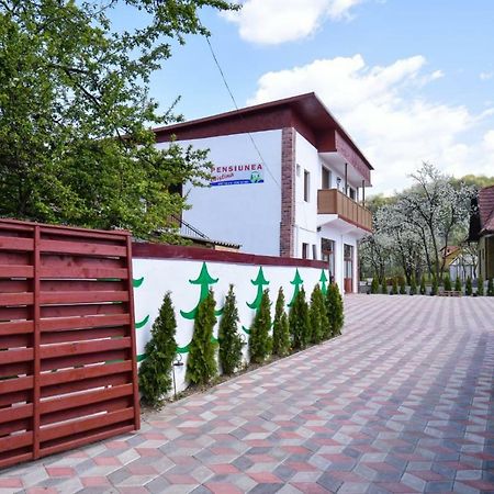 Pensiunea Cristina Vişeu de Sus Buitenkant foto