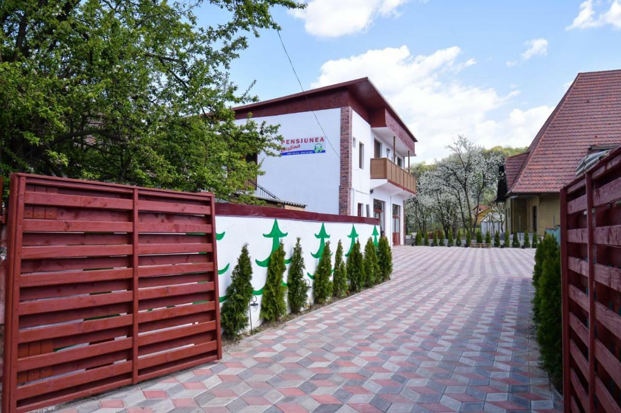 Pensiunea Cristina Vişeu de Sus Buitenkant foto